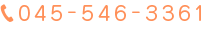 tel:045-546-3361